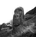 RRE_Ladera_Exterior_16