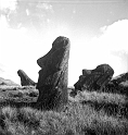 RRE_Ladera_Exterior_21