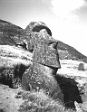 RRE_Ladera_Exterior_22