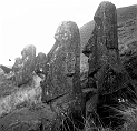 RRE_Ladera_Exterior_23
