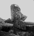 RRE_Ladera_Exterior_26
