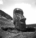 RRE_Ladera_Exterior_27