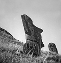 RRE_Ladera_Exterior_28