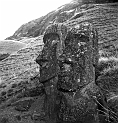 RRE_Ladera_Exterior_34