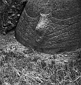 RRE_Manos_02