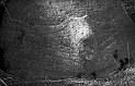 RRE_Manos_04