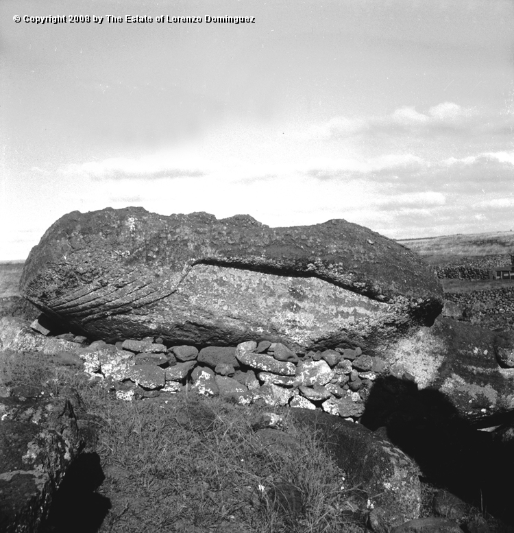 TAM_Manos_02.jpg - Easter Island. 1960. Ahu Tongariki. Moai fallen over the ahu walls.  Photograph taken shortly before the destruction of the ahu by the tsunami of May 22, 1960.