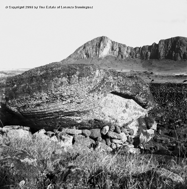TAM_Manos_03.jpg - Easter Island. 1960. Ahu Tongariki. Detail of hands of a moai fallen over the ahu wall.   Photograph taken shortly before the destruction of the ahu by the tsunami of May 22, 1960.