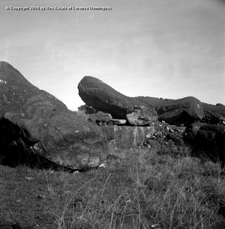 TAM_Moai_02.jpg - Easter Island. 1960. Ahu Tongariki. Moai fallen over the ahu wall.  Photograph taken shortly before the destruction of the ahu by the tsunami of May 22, 1960.