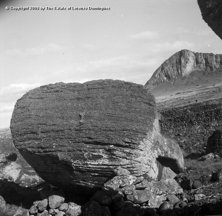 TAM_Moai_05.jpg - Easter Island. 1960. Ahu Tongariki. Moai fallen over the ahu wall.  Photograph taken shortly before the destruction of the ahu by the tsunami of May 22, 1960.