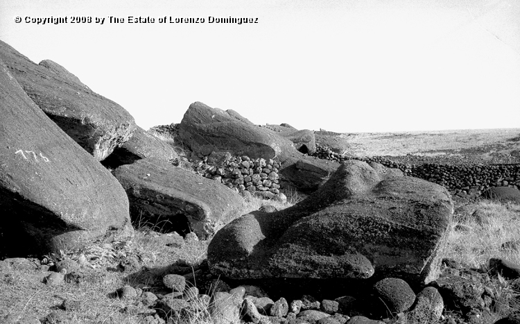 TAM_Moai_10.jpg - Easter Island. 1960. Ahu Tongariki. Fallen moai. Photograph taken shortly before the destruction of the ahu by the tsunami of May 22, 1960.