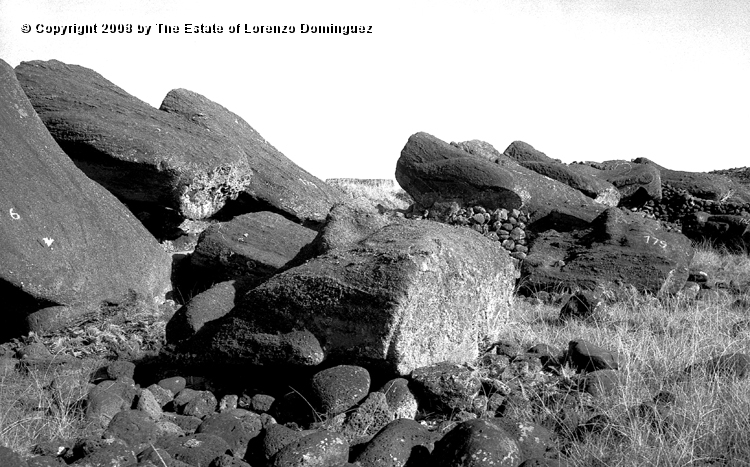 TAM_Moai_11.jpg - Easter Island. 1960. Ahu Tongariki. Fallen moai. Photograph taken shortly before the destruction of the ahu by the tsunami of May 22, 1960.