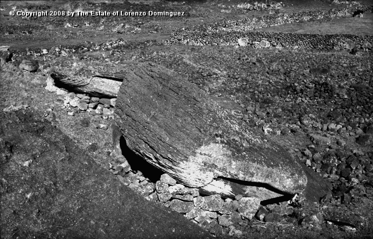 TAM_Moai_16.jpg - Easter Island. 1960. Ahu Tongariki. Fallen moai over the ahu wall. Photograph taken shortly before the destruction of the ahu by the tsunami of May 22, 1960.