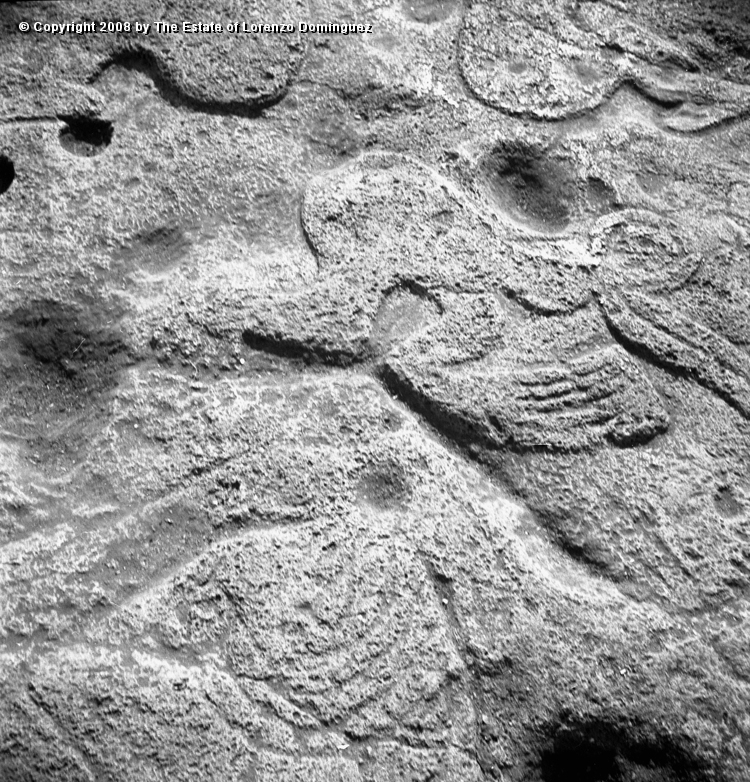 TAM_Petroglifo_03.jpg - Easter Island. 1960. Ahu Tongariki before the tsunami of  May 22, 1960. Detail of a "paparona" petroglyph representing a birdman.