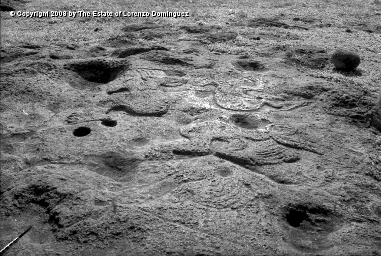 TAM_Petroglifo_13.jpg - Easter Island. 1960. Ahu Tongariki. Paparona petroglyph representing birdmen. Photograph taken shortly before the destruction of the ahu by the tsunami of May 22, 1960.