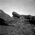 TAM_Moai_02