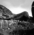 TAM_Moai_04