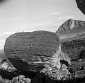 TAM_Moai_05