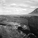 TAM_Moai_08