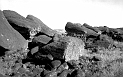 TAM_Moai_11