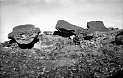 TAM_Moai_12