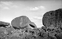 TAM_Moai_15