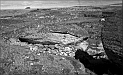 TAM_Moai_18