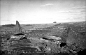 TAM_Moai_21