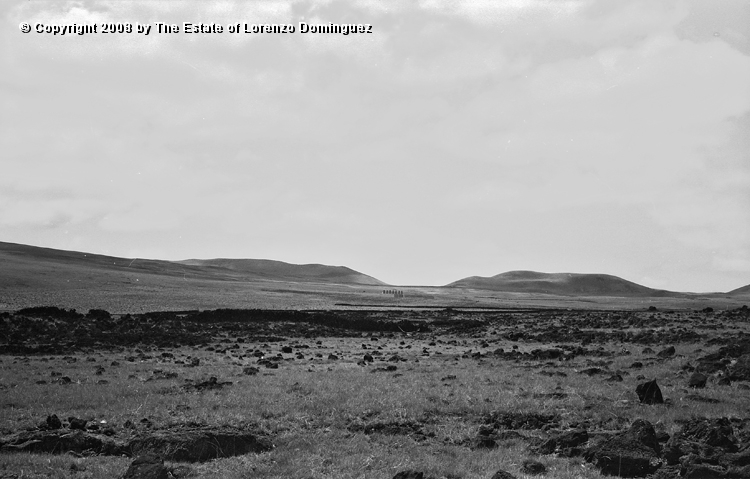 AKI_Conjunto_12.jpg - Easter Island. 1960. Ahu Akivi from a distance.