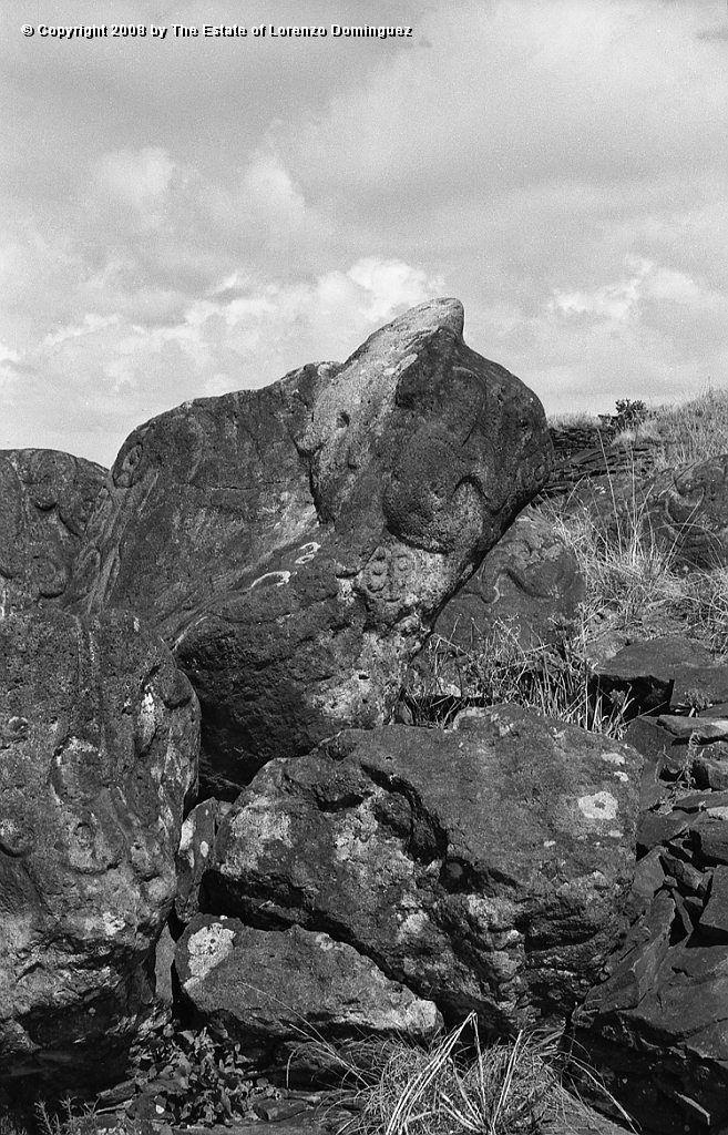 ORO_007.jpg - Easter Island. 1960. Orongo. Petroglyhs representing birdmen and makemake.