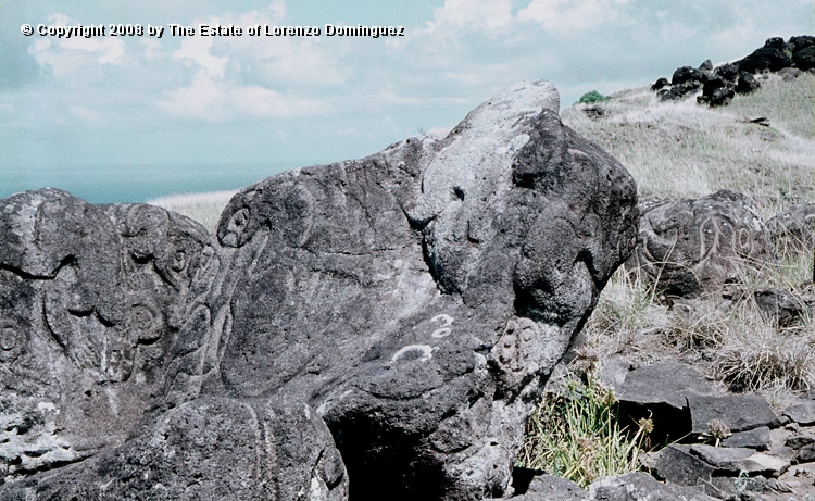 ORO_009.jpg - Easter Island. 1960. Orongo. Rocks on the cliffs with petroglyphs representing birdmen.