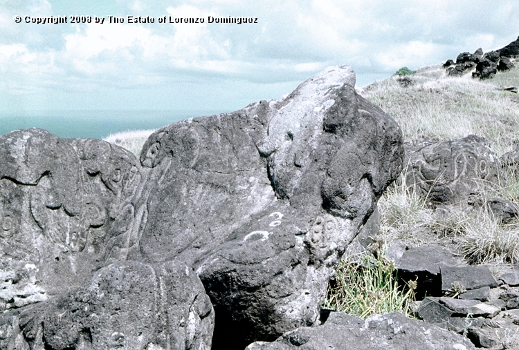 ORO_011.jpg - Easter Island. 1960. Orongo. Rocks on the cliffs with petroglyphs representing birdmen and makemake.