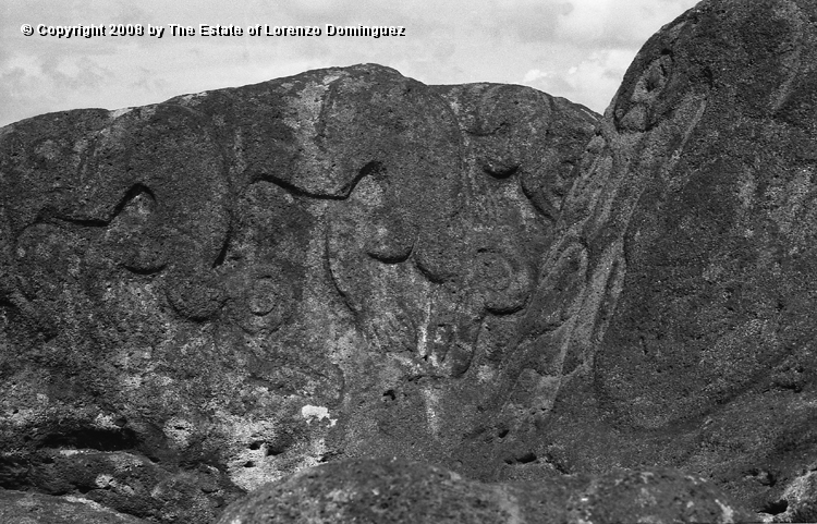 ORO_014.jpg - Easter Island. 1960. Orongo. Rocks with petroglyphs representing birdmen.