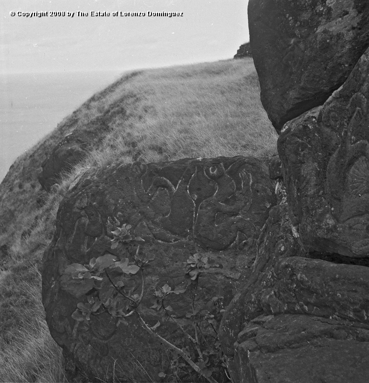 ORO_017.jpg - Easter Island. 1960. Orongo. Rocks on the cliffs with petroglyphs representing birdmen.