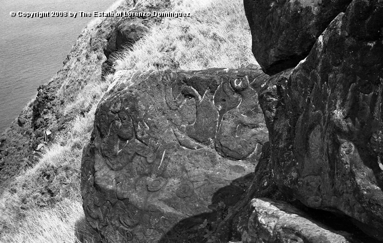 ORO_019.jpg - Easter Island. 1960. Orongo. Rocks on the cliffs with petroglyphs representing birdmen.