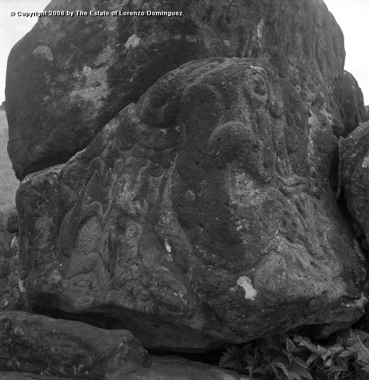 ORO_024.jpg - Easter Island. 1960. Orongo. Petroglyphs representing birdmen, komari and, supposedly, the sun.