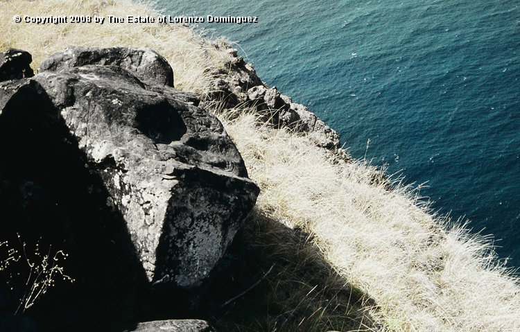 ORO_091.jpg - Easter Island. 1960. Orongo. Rock with a makemake petroglyph. Lorenzo Dominguez was stricken by the similitude between two plastic solutions: his own depiction of Death" over the surface of a black granite cube (see Lorenzo Dominguez. Catalog  P58 - 1949), and the one chosen by an anonymus Rapanui artist for this face of makemake, the "god of the big eyes," on two flat, angled planes of a rock.