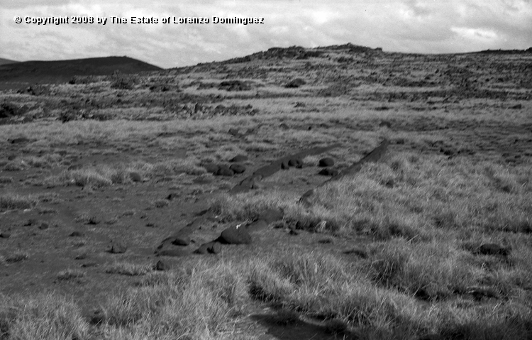 ANA_Casa_Bote_01.jpg - Easter Island. 1960. Anakena. Ruins of a boat-house.