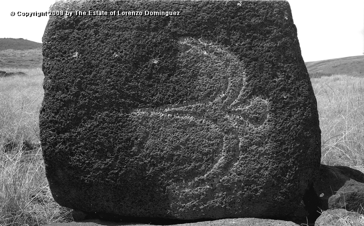 ANA_Pajaro_En_Vuelo_09.jpg - Easter Island. 1960. Anakena. Petroglyph over the paenga of an ahu representing a flying bird.