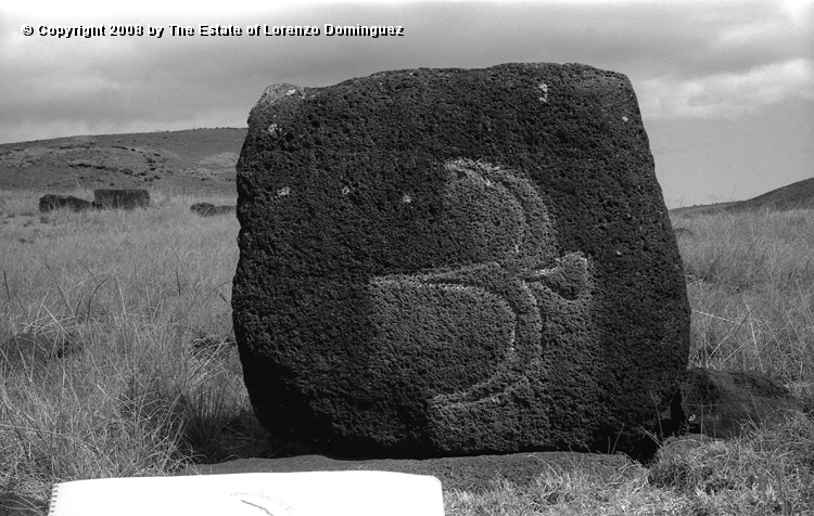 ANA_Pajaro_En_Vuelo_10.jpg - Easter Island. 1960. Anakena. Petroglyph over the paenga of an ahu representing a flying bird.