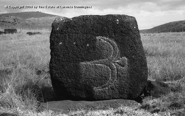 ANA_Pajaro_En_Vuelo_12.jpg - Easter Island. 1960. Anakena. Petroglyph over the paenga of an ahu representing a flying bird.