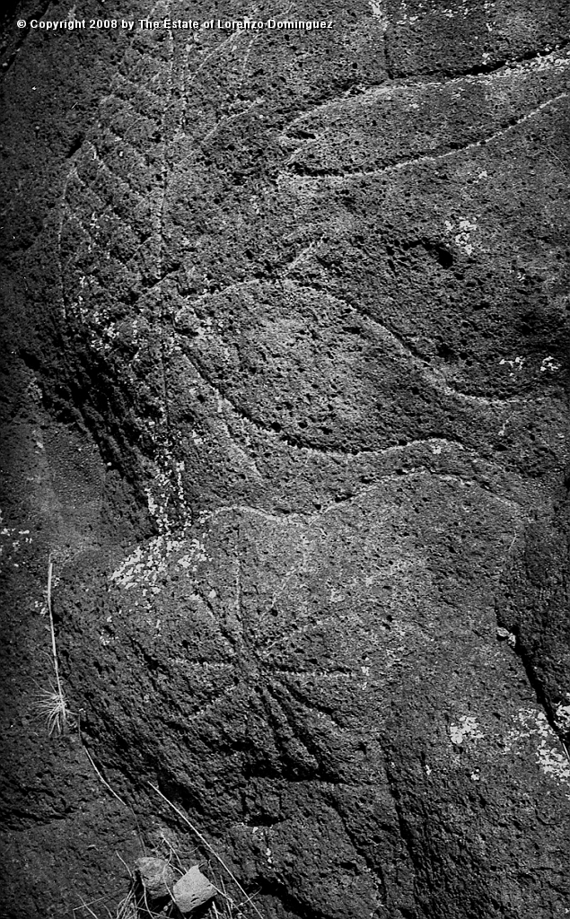 ANA_Petroglifo_09.jpg - Easter Island. 1960. Bay of La Perouse. "Paparona" petroglyph called the "Rock of the fisherman of stars."